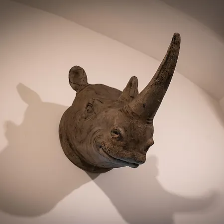 Rhino Ljubljana